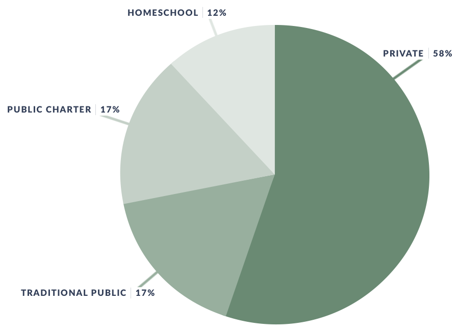 Outcomes graph school types attended