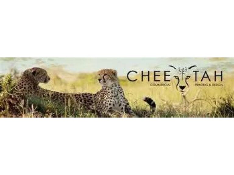Cheetah (1)